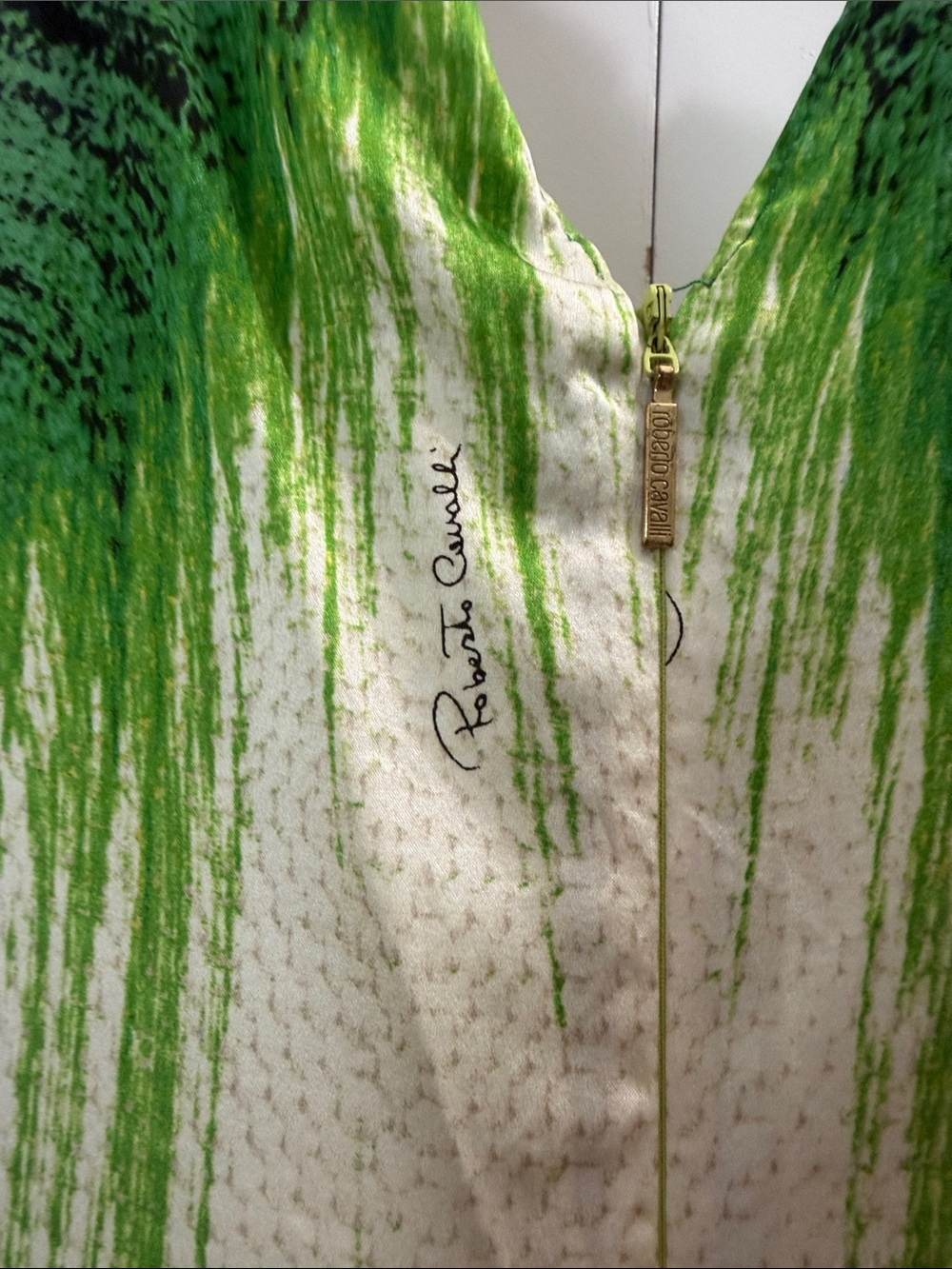 Green Ombre V-Neck Sleeveless Silk Roberto Cavalli Dress - Picture 4 of 6